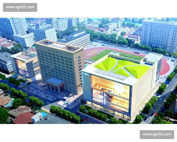 体育中心引领城市活力与全民健身新未来综合服务平台